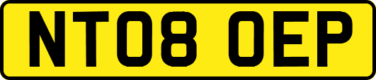 NT08OEP