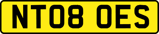 NT08OES