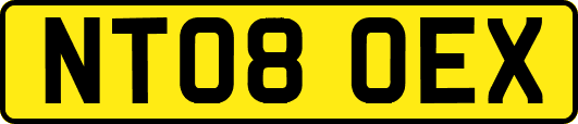 NT08OEX