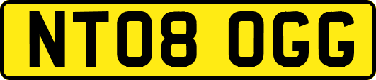NT08OGG