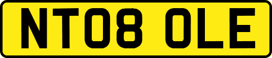 NT08OLE
