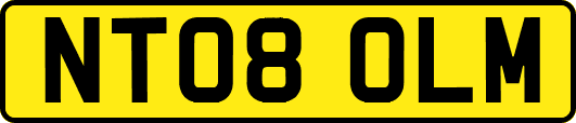 NT08OLM