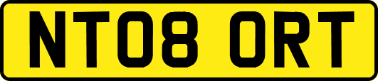 NT08ORT