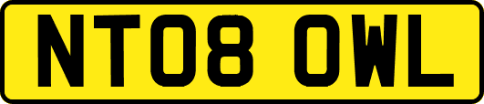 NT08OWL