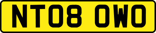 NT08OWO