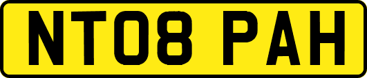 NT08PAH