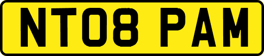 NT08PAM
