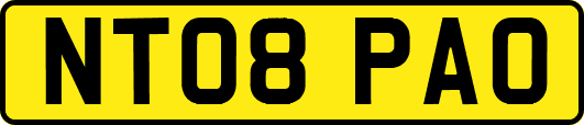 NT08PAO