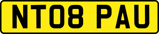 NT08PAU