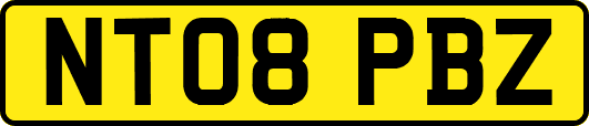NT08PBZ