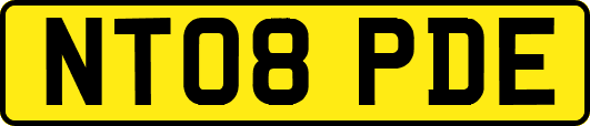 NT08PDE