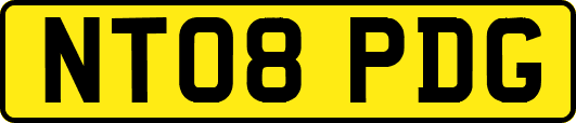 NT08PDG