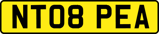 NT08PEA