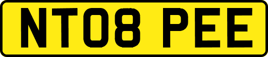 NT08PEE