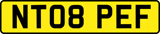 NT08PEF