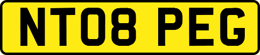 NT08PEG