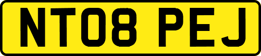 NT08PEJ