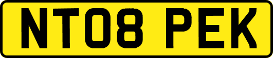 NT08PEK