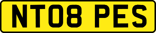 NT08PES