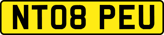 NT08PEU