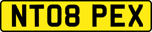 NT08PEX
