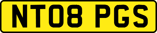 NT08PGS