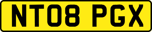 NT08PGX