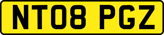 NT08PGZ