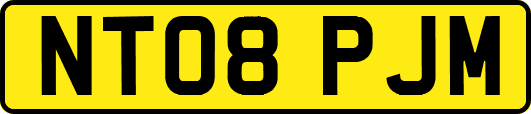 NT08PJM