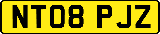 NT08PJZ
