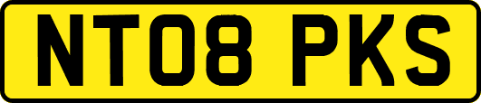 NT08PKS