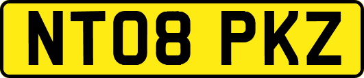 NT08PKZ