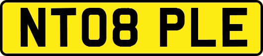 NT08PLE