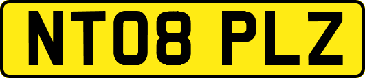 NT08PLZ