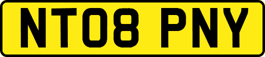 NT08PNY