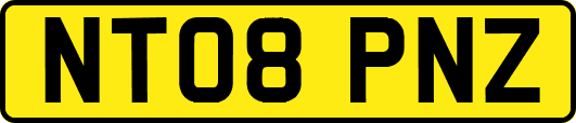 NT08PNZ