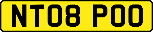 NT08POO