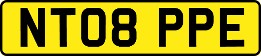 NT08PPE