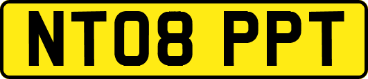 NT08PPT