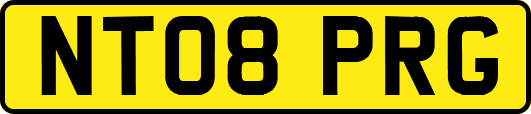NT08PRG