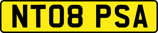 NT08PSA