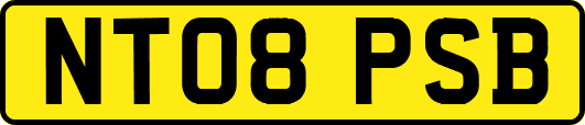 NT08PSB
