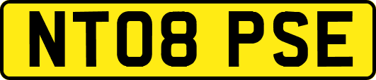 NT08PSE
