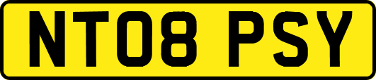 NT08PSY