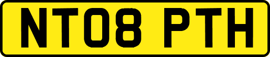 NT08PTH