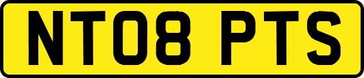 NT08PTS