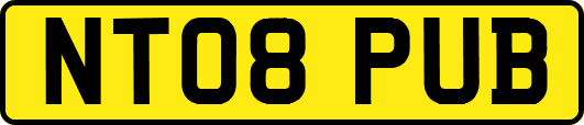 NT08PUB
