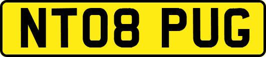 NT08PUG