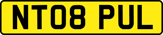 NT08PUL