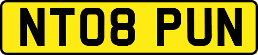 NT08PUN